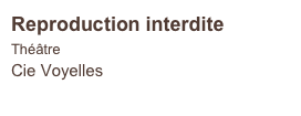 Reproduction interdite
Théâtre
Cie Voyelles    
                            